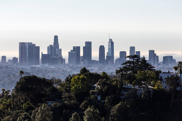 Morning view of tree covered hilltop and downtown Los Angeles from popular Griffith Park near...