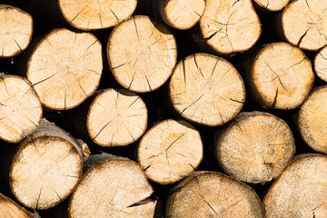 Naklejka premium Round firewood, stacked in woodpile, texture