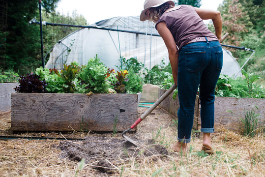 Rear View Of Woman Digging Field In Forest