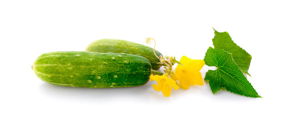 cucumber with flower and leaves isolated on white background