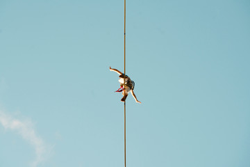 Low angle view of man slacklining against clear blue sky during sunny day