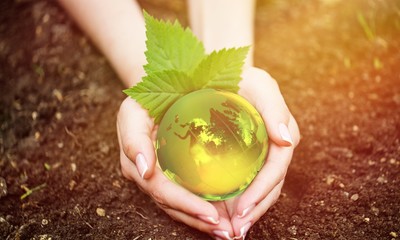 Eco earth green plant tree idea hand