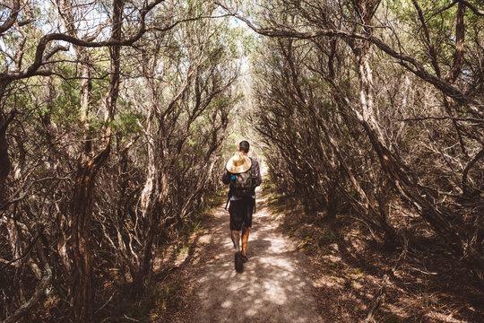 Rear view of hiker with backpack and straw hat walking amidst trees in forest at Wilsons Promontory National Park