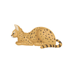 Flat vector design of beautiful slying, side view. Wild cat with large ears and black spots on brown coat. African animal