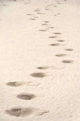 Path of footprints in the sand in the middle of the desert on on a  coast