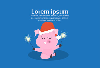 cute pigs symbol of 2019 chinese new year different poses merry christmas holiday celebration concept flat horizontal copy space