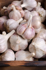 Raw fresh garlic
