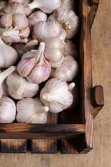 Raw fresh garlic