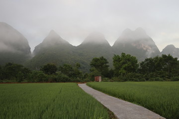 Beautiful Landscape in Yangshuo, China