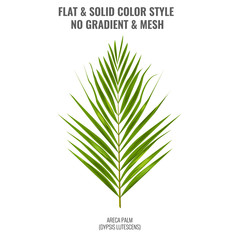 Areca palm sketch or watercolor style by hand drawing. Palm leaf for your design. Vector Illustration.