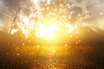 blurred abstract photo of light burst among trees and glitter golden bokeh lights. © tomertu