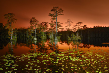 Scenic view of Cypress Lake with trees against sky during sunset