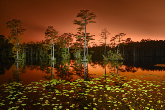 Scenic view of Cypress Lake with trees against sky during sunset