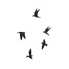 Isolated textured stipple silhouette of birds flock in the air Inspirational body flash tattoo ink. Vector.