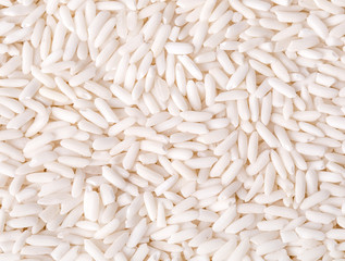 The Background of white wild rice.