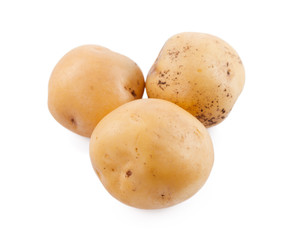raw yellow potato isolated on white background