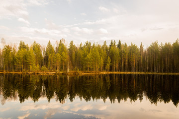 Fototapeta na wymiar Lake and forest