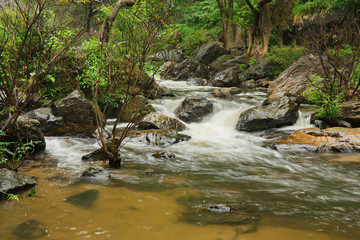 Forest and waterfall