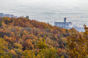 Beautiful view of Assisi town (Umbria) and St.Francis church in autumn from an unusual place, behind an hill with orange and yellow trees