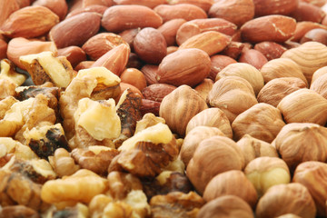Different nuts forming background