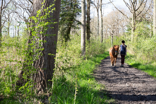 Full length of woman with horse walking on footpath in forest