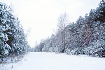 Snow road