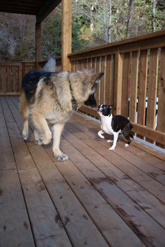 Best friends