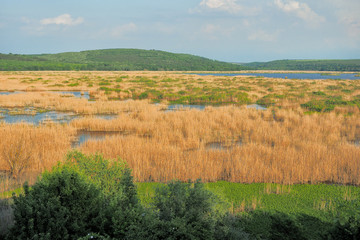 Fototapeta premium Lake Srebarna - Bulgaria. Balkans landscape