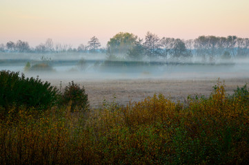 Beautiful field horizon in fog at sunrise