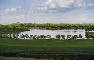 Lake views in the park