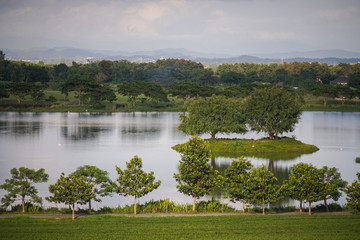 Lake views in the park