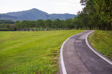 Fototapeta na wymiar Bicycle lanes or Bike lanes or in the park Chiang rai, Thailand