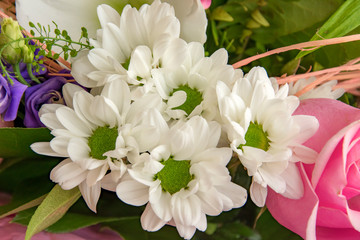 bouquet of flowers pink roses, white chrysanthemums, light striped Alstroemeria, gerberas close-up