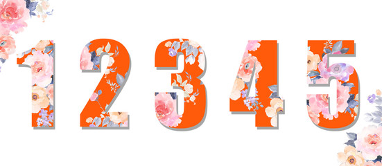 Beautiful watercolor roses, peony flowers and numbers