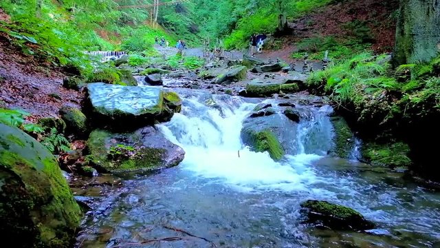 The mountain Pylypets river runs through the rapids and boulders in the deep forest, Volovets region, Ukraine. 