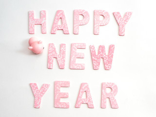 Piggy Chinese new year 2019 background