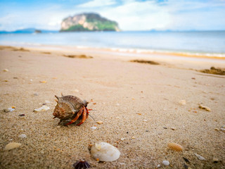 Koh Yao island is locate in the middle of Phang nga , Phuket and Krabi , Thailand , Asia