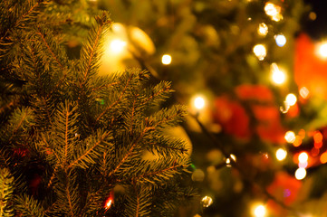 Lights on a christmas tree