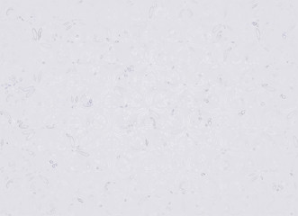 Gray abstract plant background for wallpaper