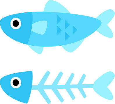 Best 魚の骨 Images Stock Photos Vectors Adobe Stock Best 魚の骨 Images Stock Photos Vectors Adobe Stock