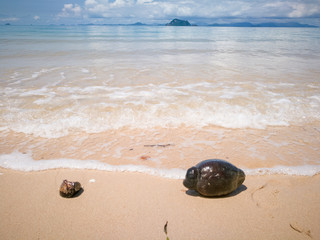 Beautiful sea view of Koh Yao island , locate in the middle of Phang nga , Phuket and Krabi , Thailand , Asia