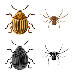 Vector design of insect and fly sign. Set of insect and element vector icon for stock.