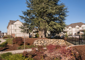 Row of townhouses in Wilsonville Oregon.