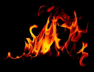 Flame of fire on a black background