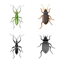 Vector design of insect and fly icon. Collection of insect and element vector icon for stock.