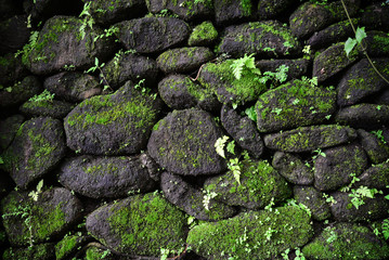Stone wall with moss