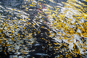 Broken glasses decoration wall.