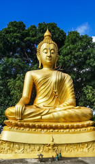 Golden buddha statue