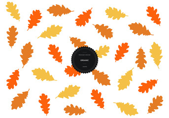Organic patterns for background and stickers with logos. Oak tree Leaf. Vector packaging design elements and templates.