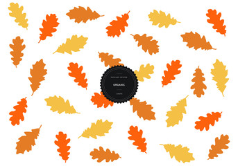 Organic patterns for background and stickers with logos. Oak tree Leaf. Vector packaging design elements and templates.